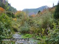 Nacimiento del rio Palancia, fuente de los Cloticos Nacimiento del rio Palancia, fuente de los Cloticos