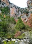 Nacimiento del rio Palancia, fuente de los Cloticos Nacimiento del rio Palancia, fuente de los Cloticos